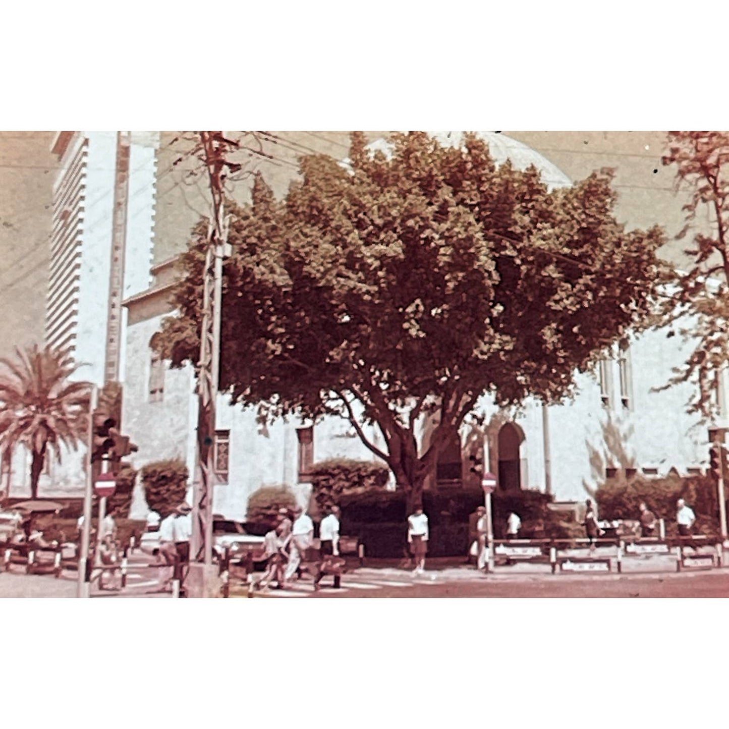 1960s Israel in Kodak Colour Set of 8 2x2 Travel Slides TK2-S2-2