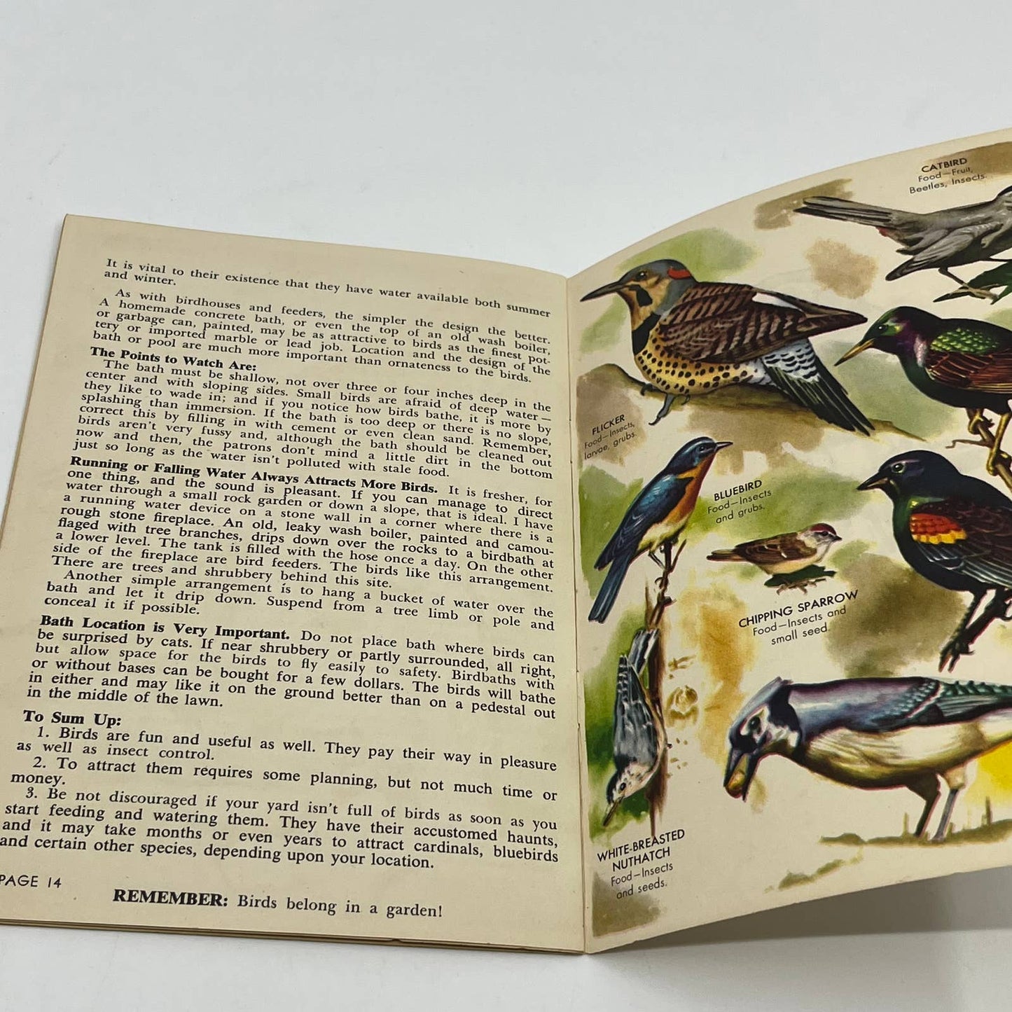 1940s Attracting Birds to Your Yard Garden Blue Book - Audubon Magazine SC5