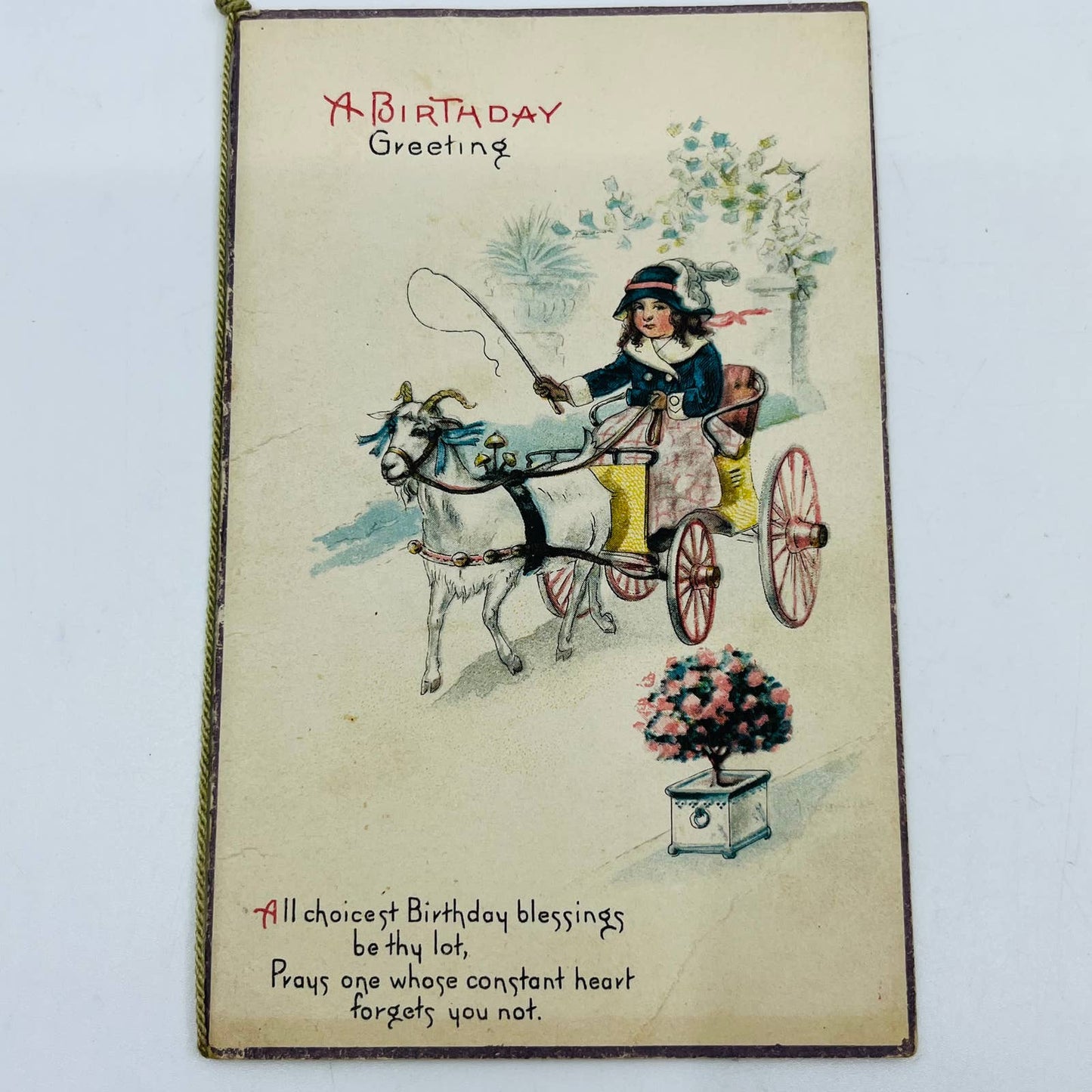 1910s Birthday Post Card Folding Boy in Carriage Pulled By Goat PA5