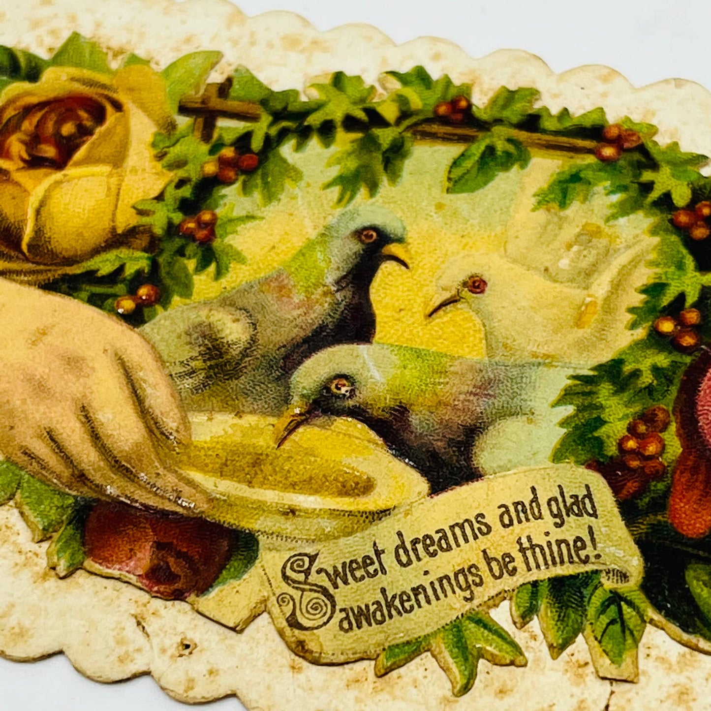 1880's VICTORIAN CALLING CARD LITHO Die Cut Pigeons Roses Miss Sophie Bawer AA2