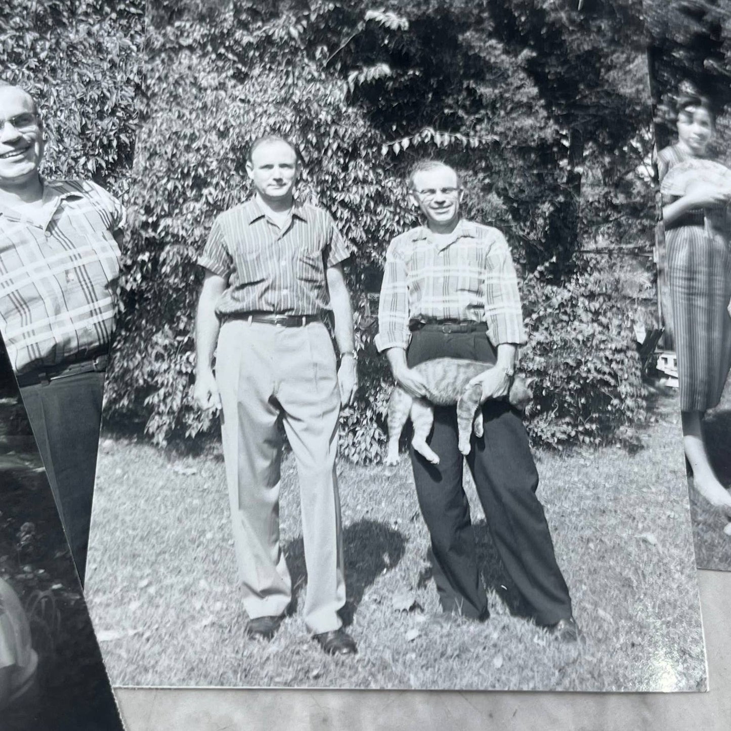 1956 Collection of Photos & Negatives Warren Dean Black With His Cat TJ9-PG3