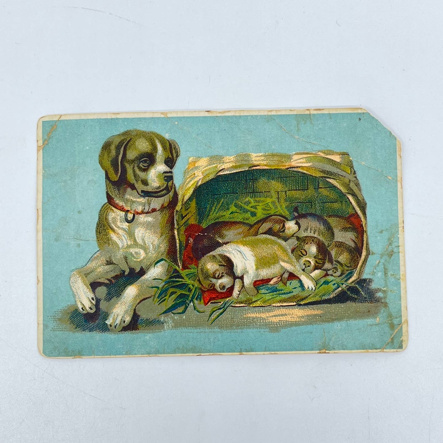 1880s Blank Victorian Trade Card Mother Dog w/ Basket of Puppies SC6