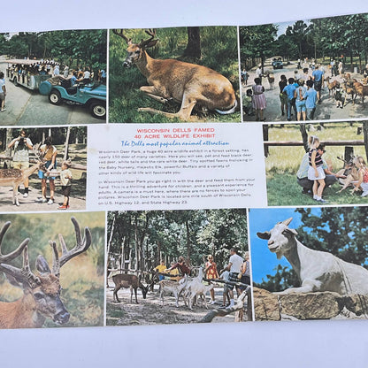 1970s Wisconsin Dells Deer Park Brochure Fold Out Felix Palm SC6