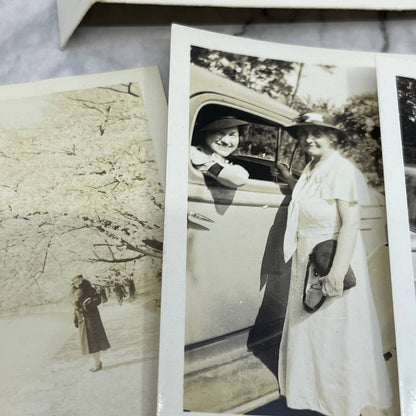 c1930 Collection of Photos & Negatives of Mary Loughead Washington DC TJ9-PG2