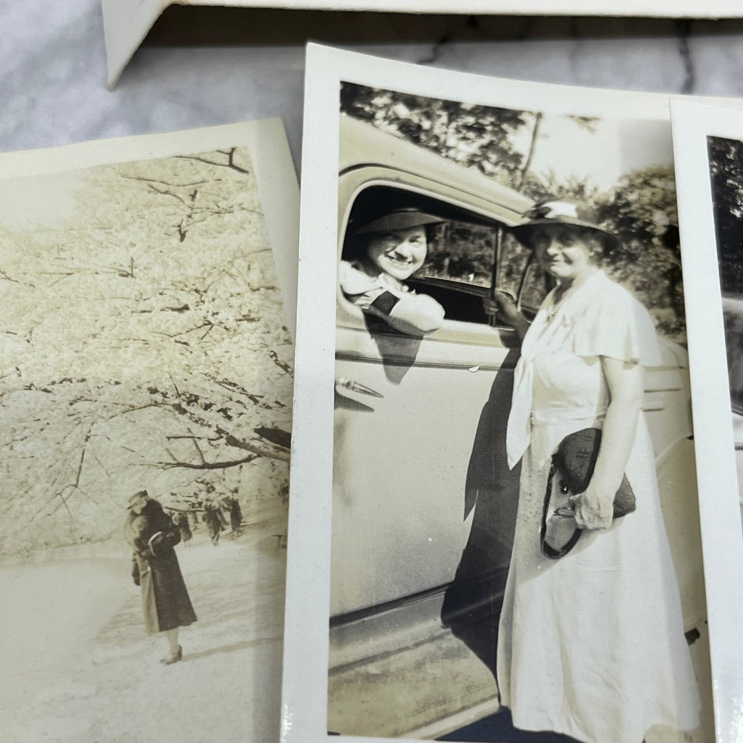 c1930 Collection of Photos & Negatives of Mary Loughead Washington DC P4-9