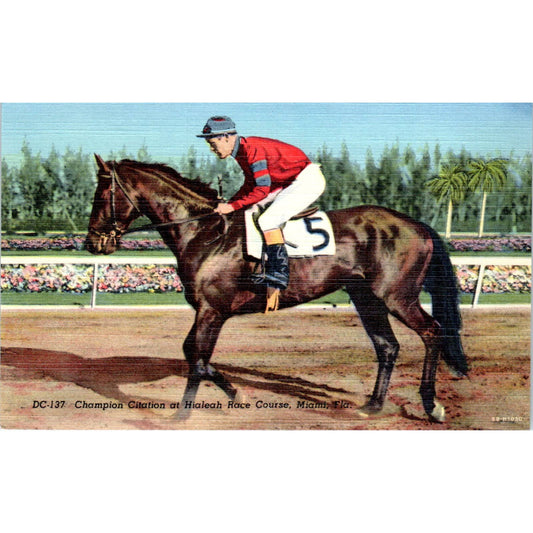 Citation at Hialeah Race Course Miami Florida Original Postcard TK1-23