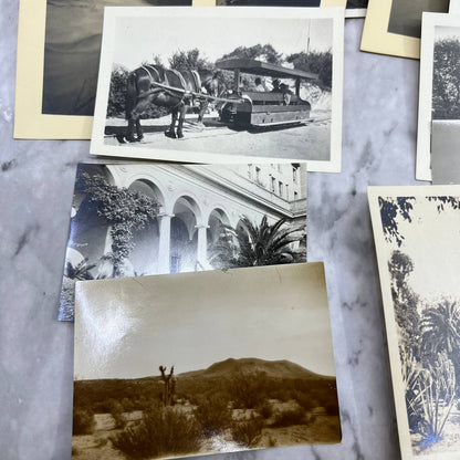 1920s Collection of Photos & Negatives of California Landscape Views TJ8