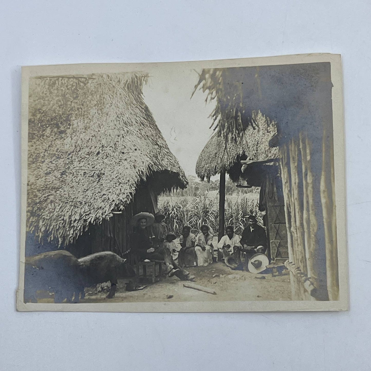 1903 Original Sepia Photograph Native Huts At Tuxpam Mexico AC7-1