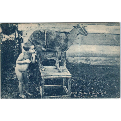 Chiva Criandera Nursing Goat III Havana Cuba Original Postcard P3-1