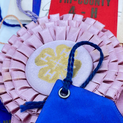 1950s HUGE Lot of Prize Ribbons Tri-County 4-H Fair Herrington Kansas TA3-1