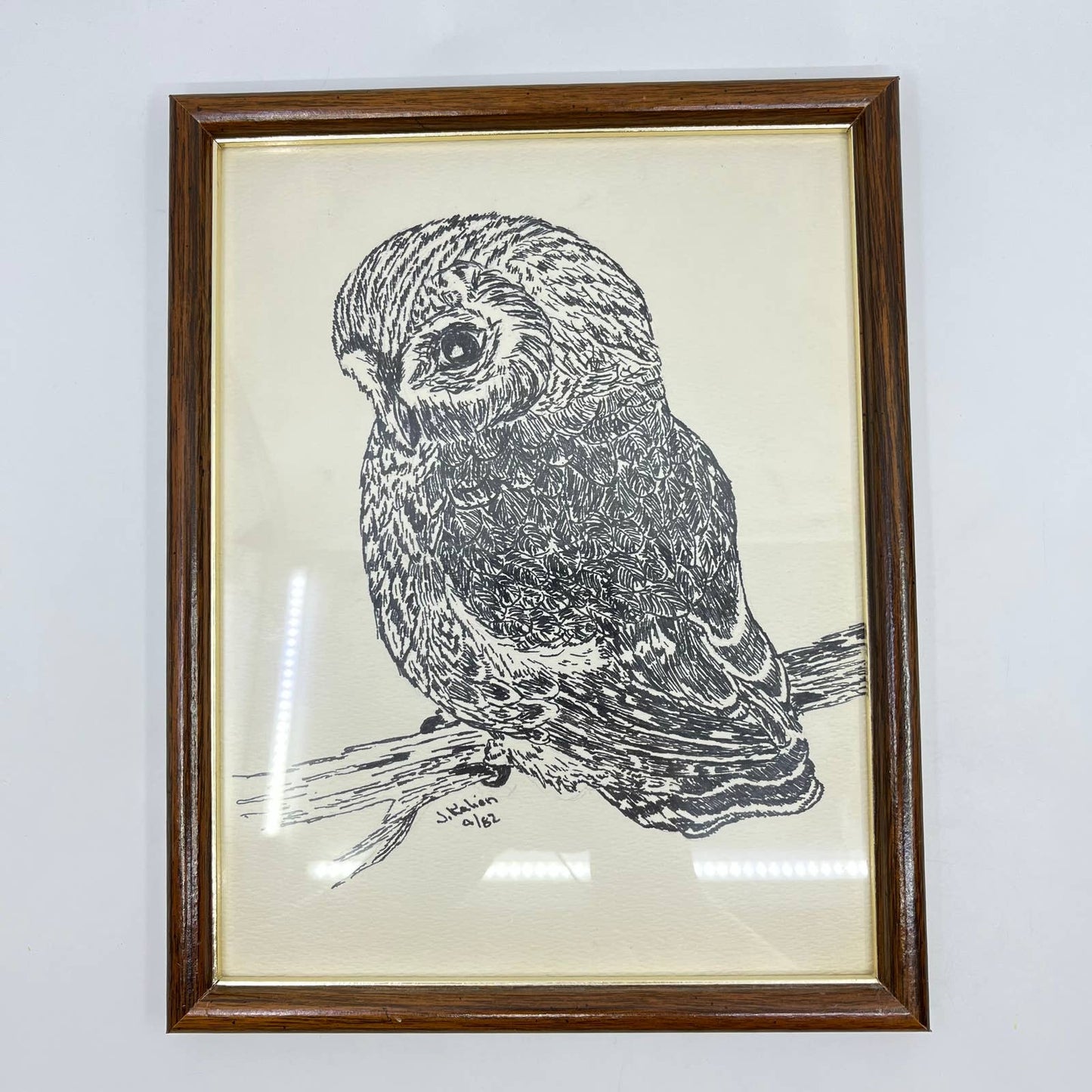 1982 Original Framed Owl Ink Sketch Signed J. Kalien 9x11” TE6