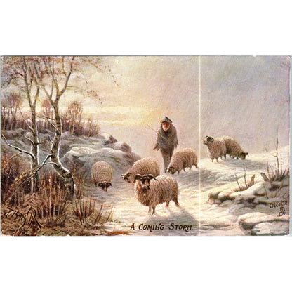 Shepherd in the Scottish Highlands Raphael Tuck Oilette Postcard TK1-P17