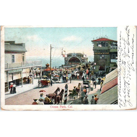 Ocean Park California 1907 Original Postcard TK1-24