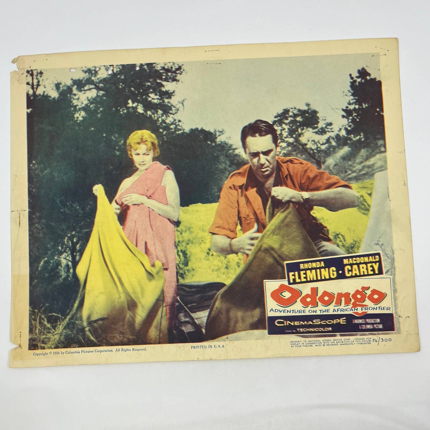 1956 Odongo African Frontier Lobby Card Rhonda Fleming Macdonald Carey FL4