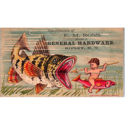 1880s Trade Card E.M. Ross Hardware Ripley NY Fantasy Cherub Tropical Fish SF2-1