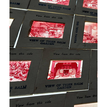 1960s Tiger Balm Garden Hong Kong Set of 17 2x2 Slides TK2-S3-2