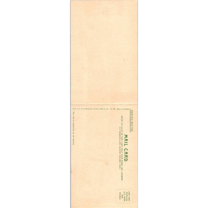 Antique Fold Out Panoramic Postcard View from Top of Allegheny Mountain PA TI1-1