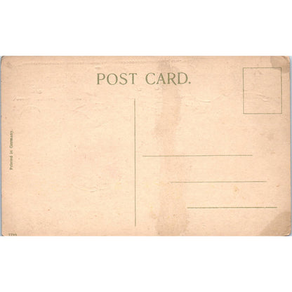 Thanksgiving Turkey American Flag Victorian Girls c1910 Postcard TK1-26