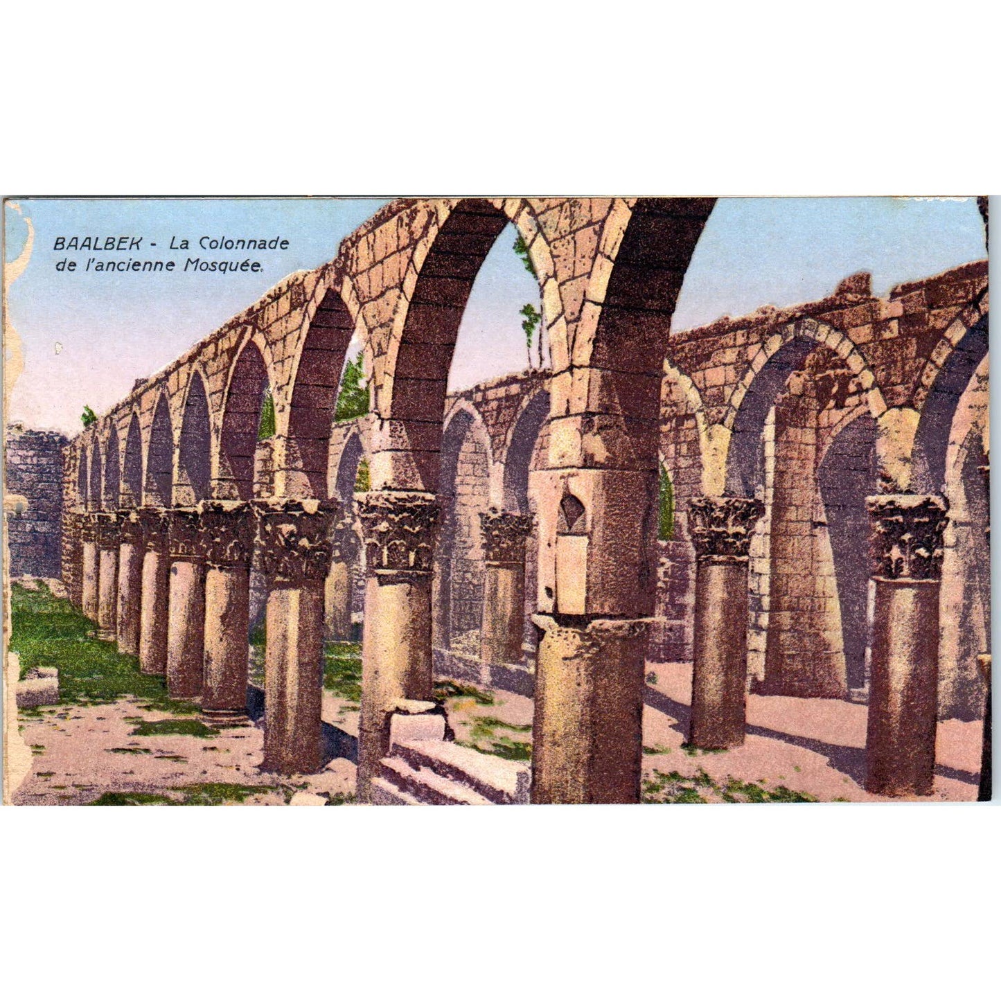 Baalbek La Colonnade de L'Ancienne Mosquée Original Postcard TK1-24
