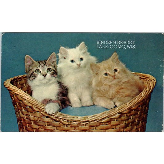 Vintage Postcard Basket of Kittens Binder's Resort Lake Como Wisconsin SE5