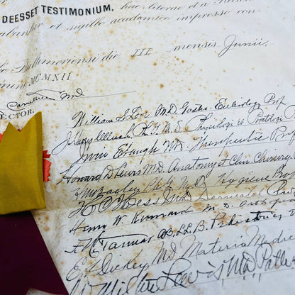 1911 Certificate Doctorate of Medicine Elwood Vaughan Hunt Baltimore City MD FL2