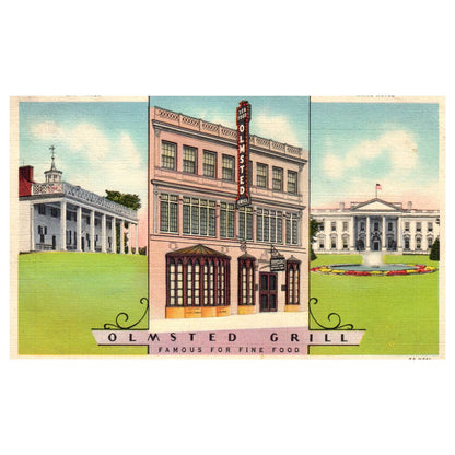 Olmstead Grill Washington DC 1936 - Postcard TJ8-1