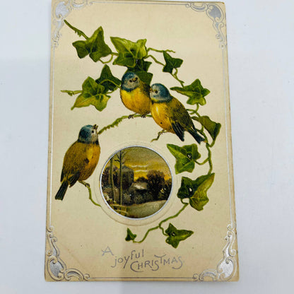 1910s Christmas Post Card Embossed Birds Leaves Silver Snow Church PA4