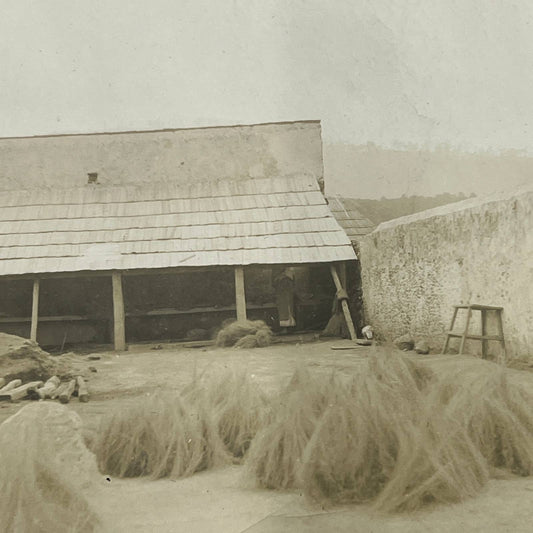 1903 Original Sepia Photograph Drying Zacation Las Vigas Veracruz Mexico AC7