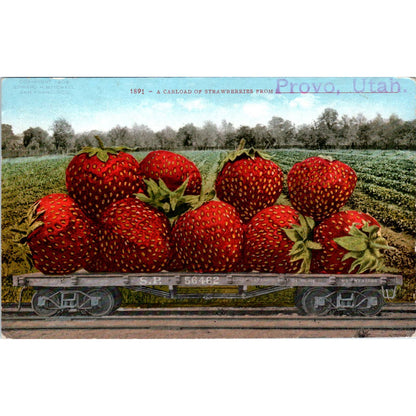 Carload of Giant Strawberries from Provo Utah 1910 Original Postcard TK1-24