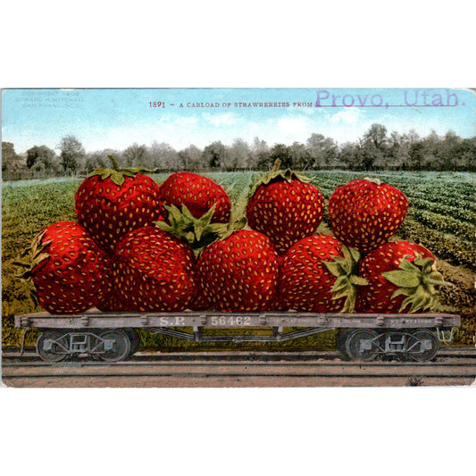 Carload of Giant Strawberries from Provo Utah 1910 Original Postcard TK1-24