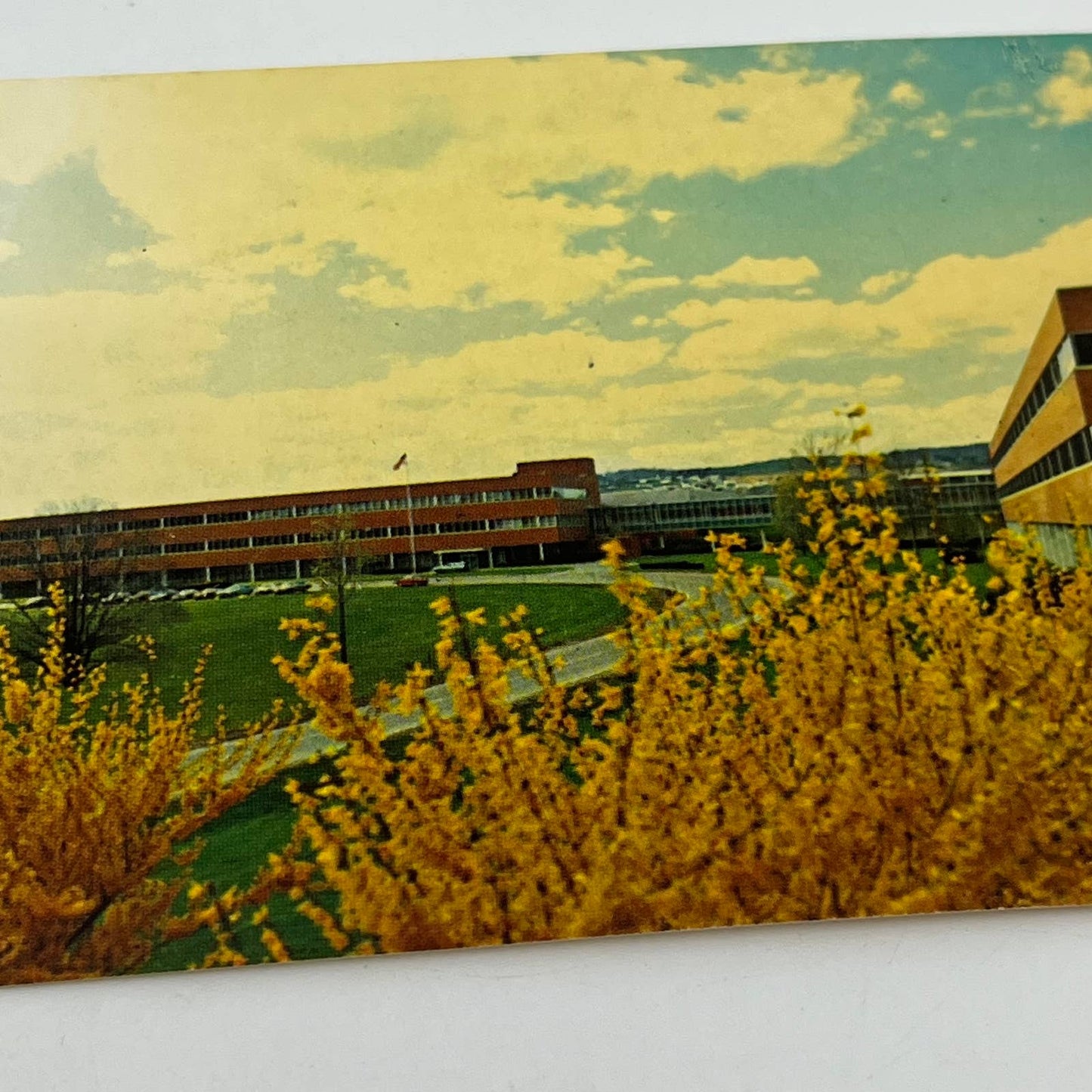 1960s Long Postcard IBM Federal Systems Division Owego New York SC5