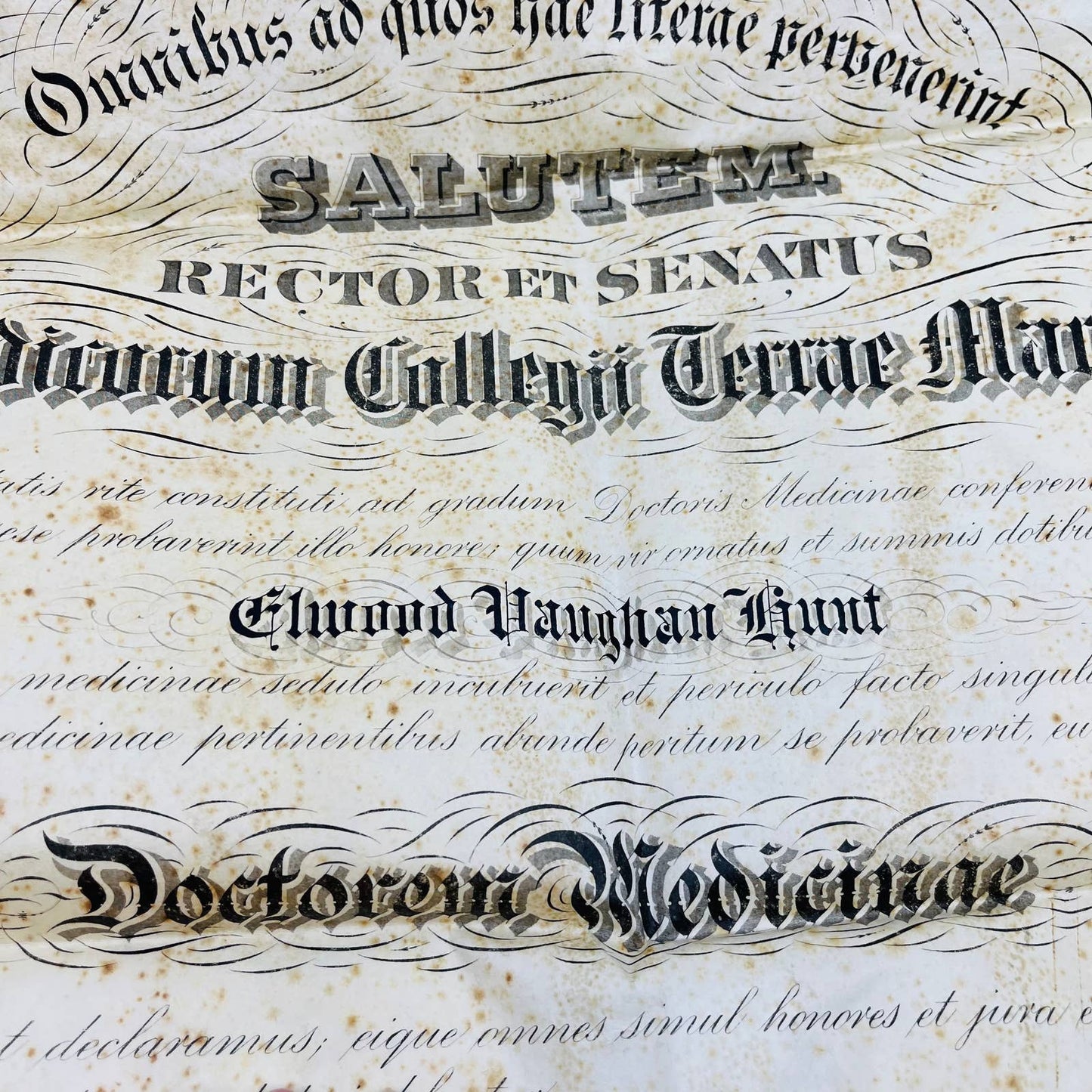 1911 Certificate Doctorate of Medicine Elwood Vaughan Hunt Baltimore City MD FL2