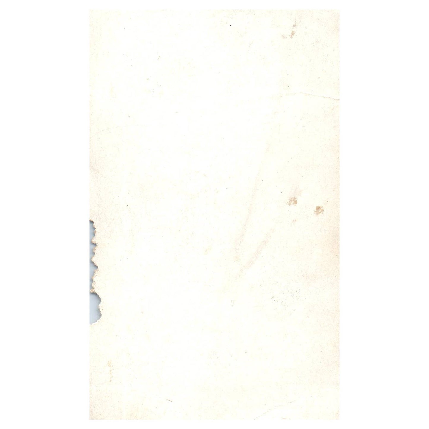 1936 R313 National Chicle Fine Pen Premium "Bill Werber" TJ8-1