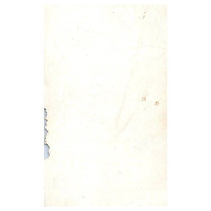 1936 R313 National Chicle Fine Pen Premium "Bill Werber" TJ8-1