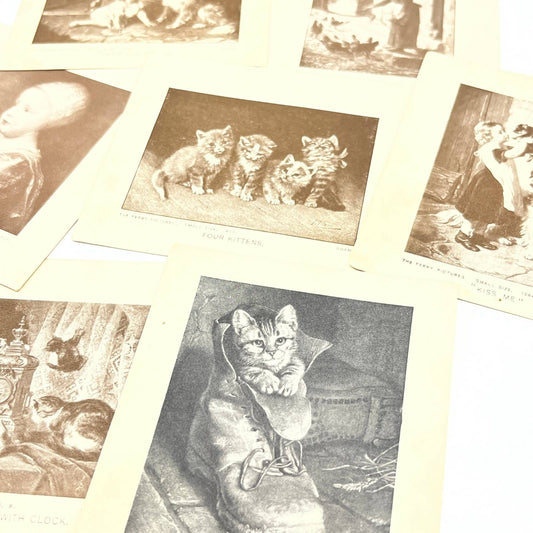 1920s The Perry Pictures Small Size Lot of 7 Dog and Cat Kitten Prints AC2