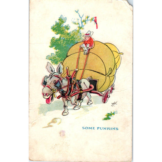 Cartoon Donkey Pulling Huge Pumpkins in Cart Some Punkins c1905 Postcard TK1-24