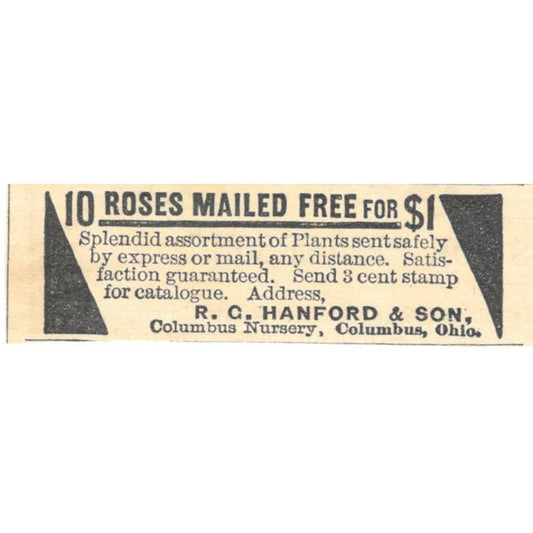 Roses Mailed R.C. Hanford & Son Columbus OH - Ad 1878 Original TJ7-L2-4