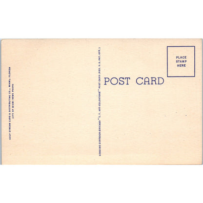 Greyhound Racing at Night in Miami Florida Original Postcard P2-9