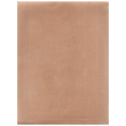 1971 Original Press Photo Javelin Gary Feldman Pan American Games 8x10" AD2