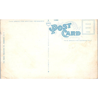 Vintage Postcard Along the Lackawanna Trail Mt. Pocono PA TD8-P2