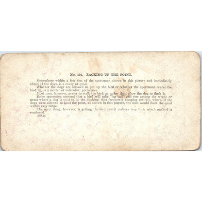 Hunting Dogs Spaniels Backing Up the Point - Antique Stereoview Card H3-2