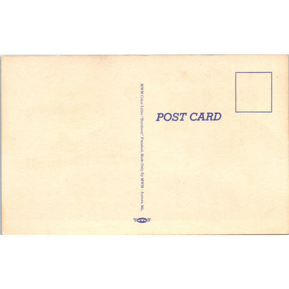 Vintage Postcard Liberty Bell at Independence Hall PA TD8-P2