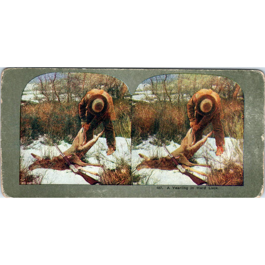 Victorian Deer Hunting a Yearling in Hard Luck - Antique Stereoview Card TJ1-C1