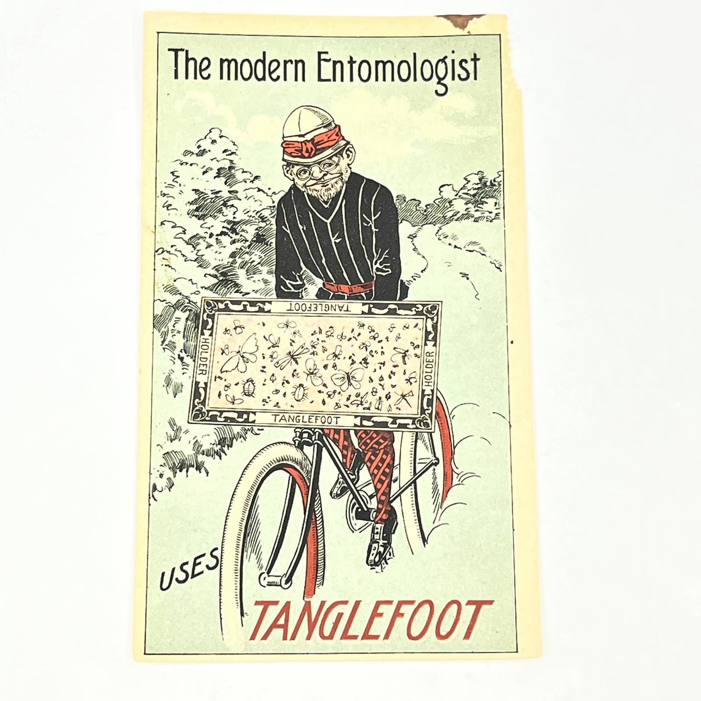 Original 1897 Victorian Trade Card Tanglefoot Fly Paper Entomologist AB6