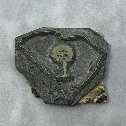 Vintage Printing Letterpress Printers Block Plate South Carolina Palmetto SE819