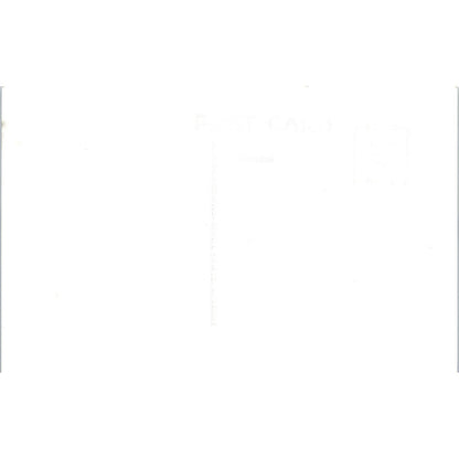 Olson's Resort Horseshoe Lakes View Minong Wisconsin RPPC Postcard TJ9-P3