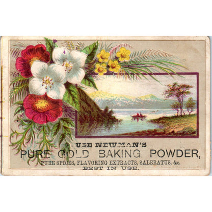 1880s Victorian Trade Card Newman's Pure Gold Baking Powder Ripley NY SF2