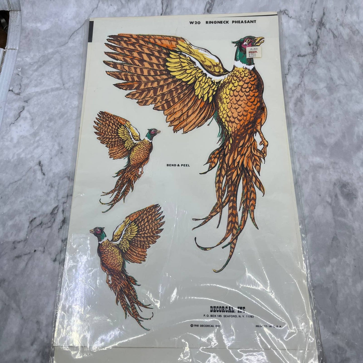 1981 NEW NOS Decorcal Sports & Wildlife Decal W-20 Ringneck Pheasant Hunting FL5