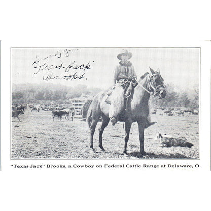 Vintage Postcard Texas Jack Brooks Federal Cattle on Range at Delaware Ohio TD9