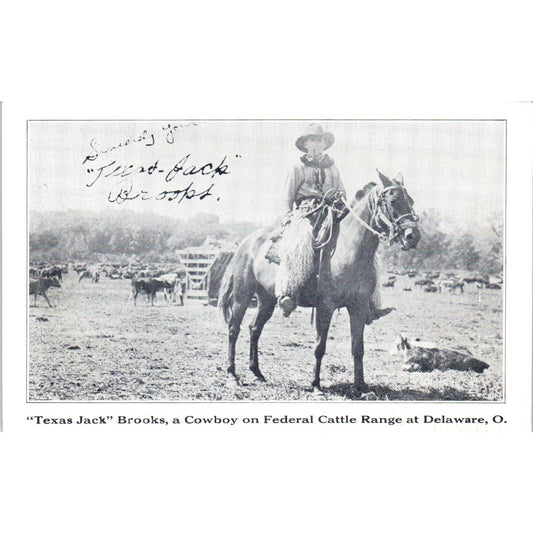 Vintage Postcard Texas Jack Brooks Federal Cattle on Range at Delaware Ohio TD9